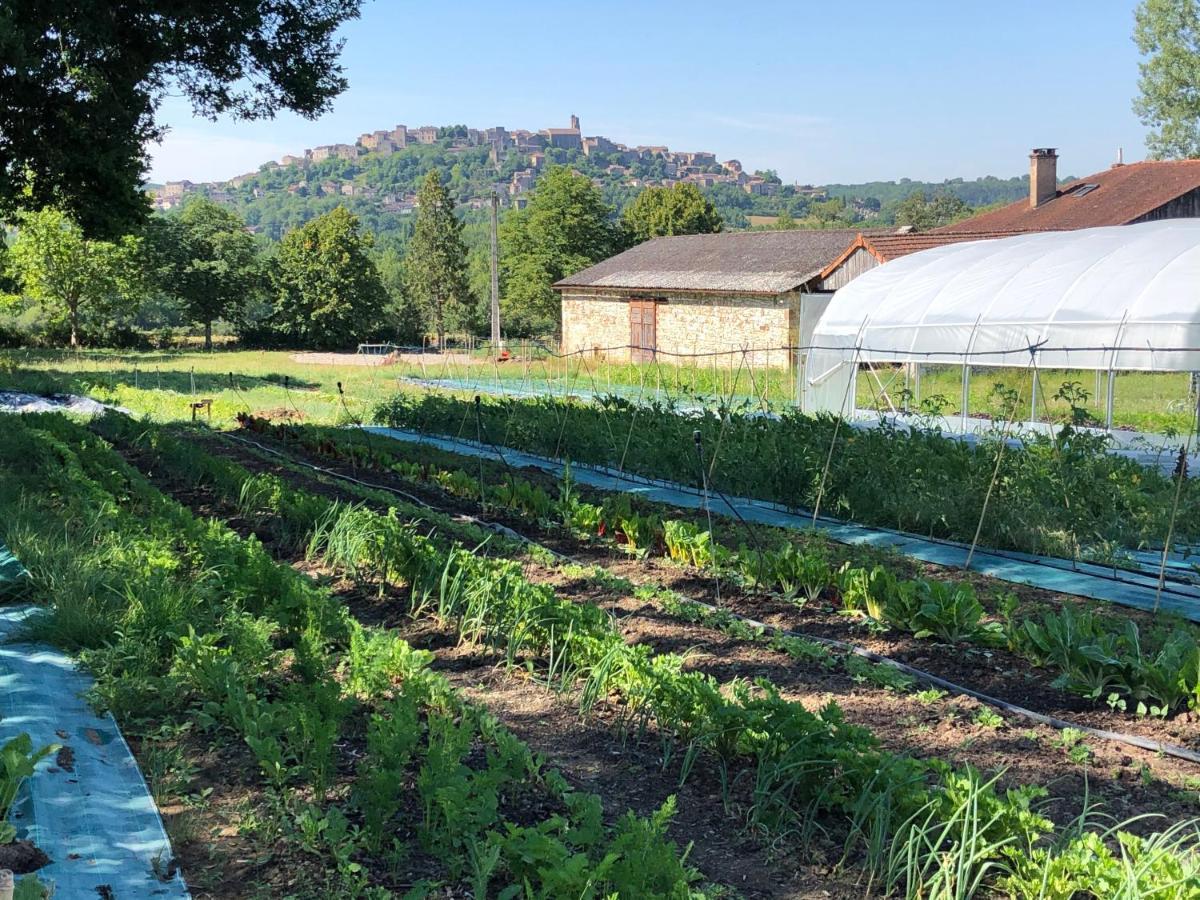 Gîte à la Ferme de Verdurette Cordes-sur-Ciel Extérieur photo