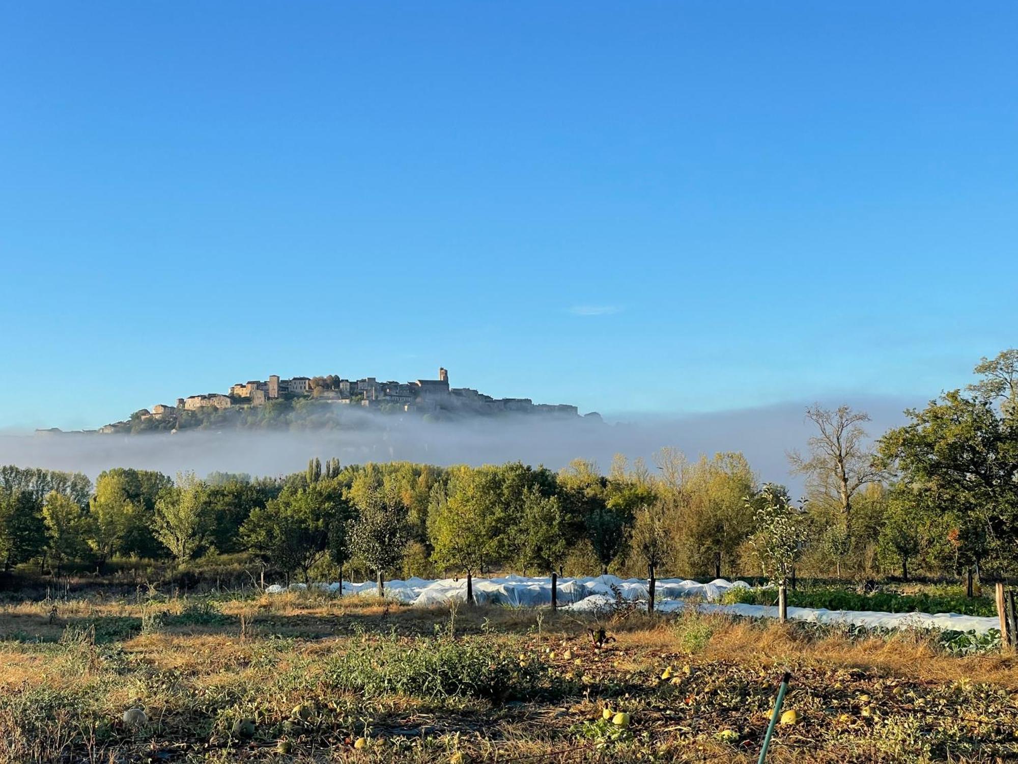 Gîte à la Ferme de Verdurette Cordes-sur-Ciel Extérieur photo