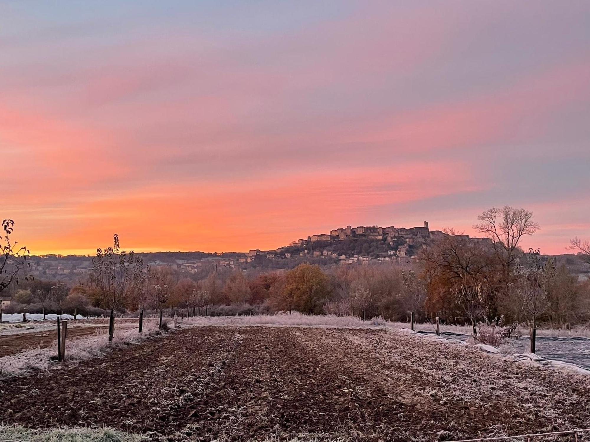 Gîte à la Ferme de Verdurette Cordes-sur-Ciel Extérieur photo