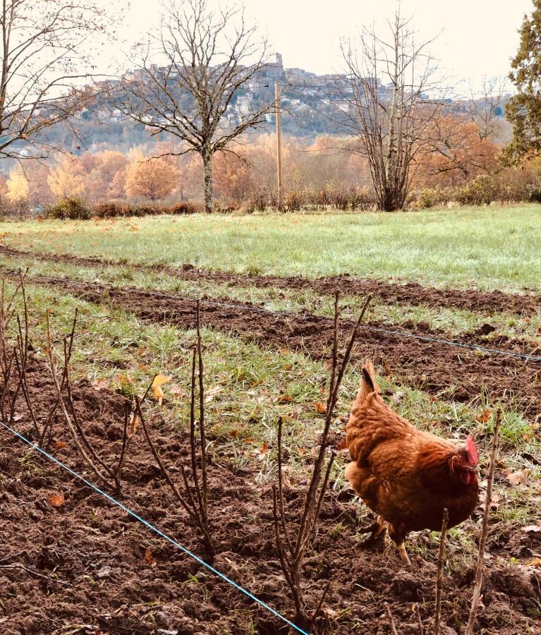 Gîte à la Ferme de Verdurette Cordes-sur-Ciel Extérieur photo